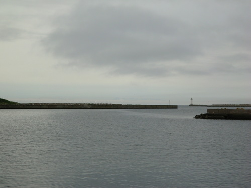e0242504_19394356.jpg