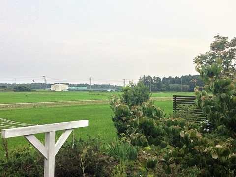 a0180208_23543186.jpg