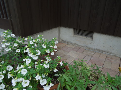 f0297809_2130854.jpg