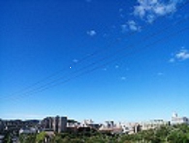 a0217512_17551318.jpg