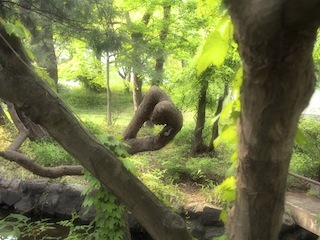 c0248013_20436.jpg