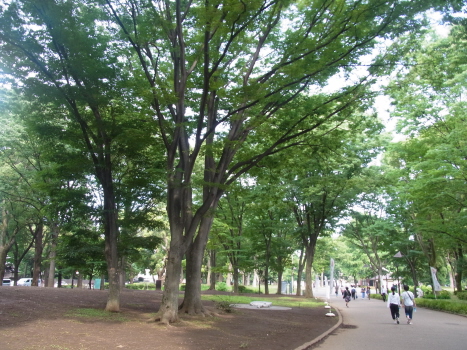 f0108825_1242592.jpg