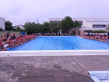 e0069234_1745997.jpg