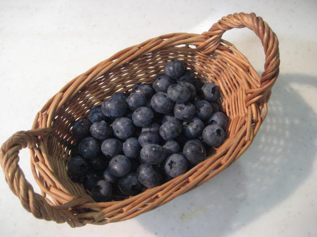 b0166435_18141450.jpg