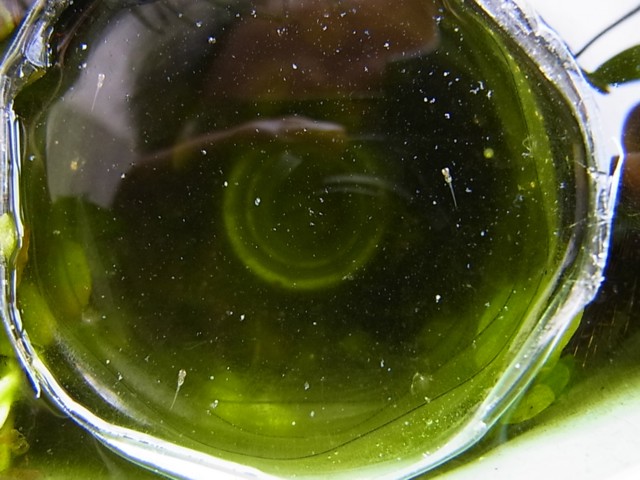 c0125735_16164342.jpg