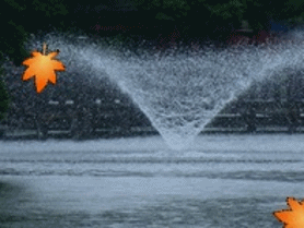 b0133752_062494.gif