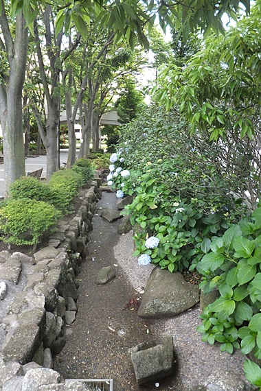 c0074156_19303786.jpg