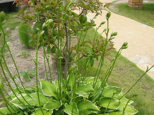 b0232459_1652345.jpg