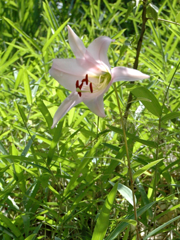 c0289473_144526.jpg