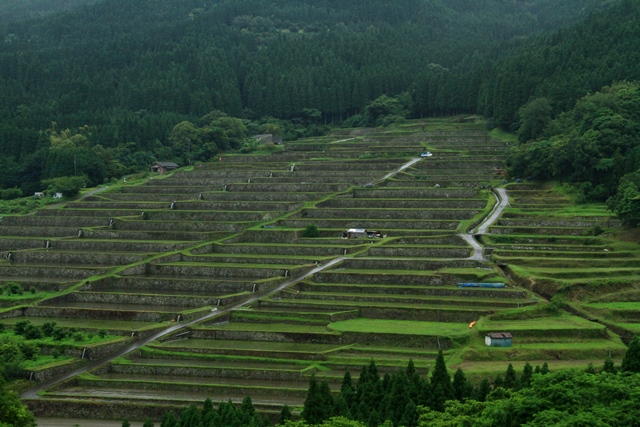 d0126577_23413371.jpg