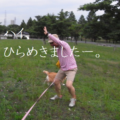 d0087483_18481060.jpg