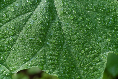 b0226089_192359100.jpg