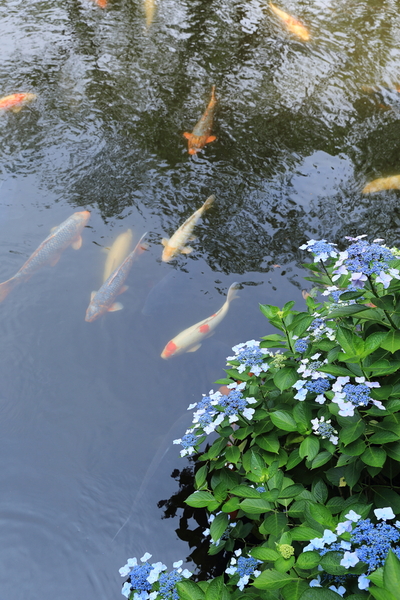 b0275998_1121430.jpg