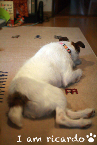 d0150704_1158410.jpg