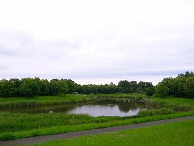 e0145805_1050274.jpg