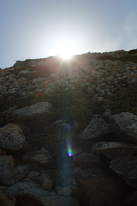 a0148606_102173.jpg