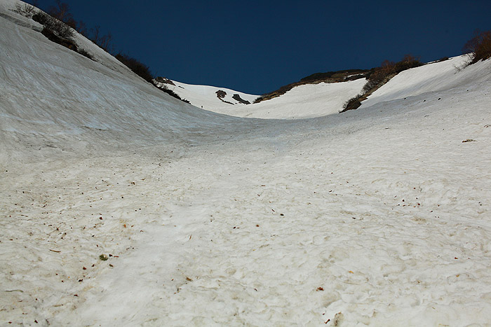 a0148606_1030676.jpg