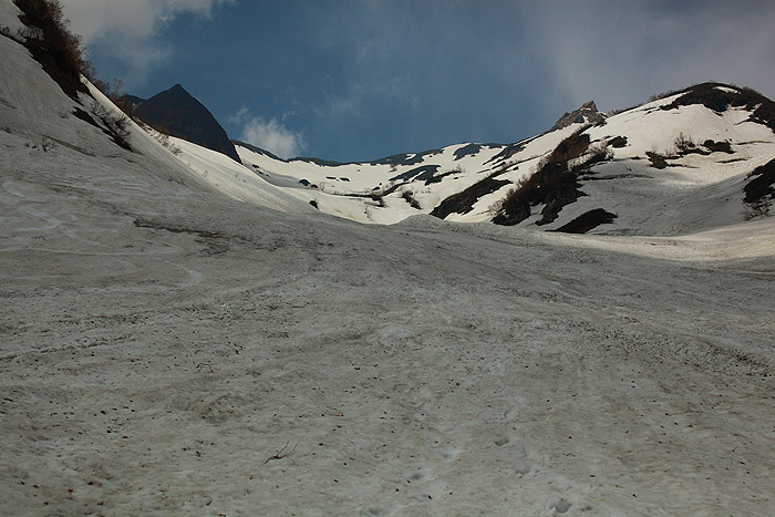 a0148606_1032624.jpg