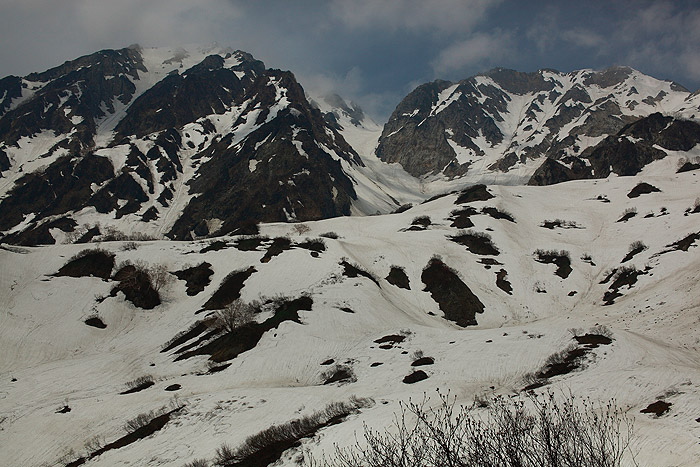 a0148606_1033942.jpg