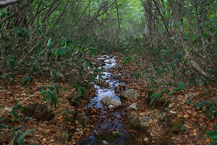 a0148606_1034638.jpg