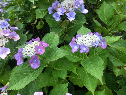 b0239909_21445650.jpg