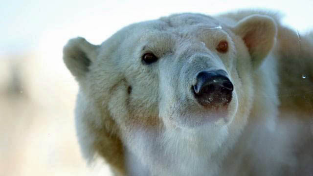 a0151913_005134.jpg