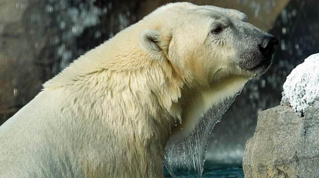 a0151913_05781.jpg