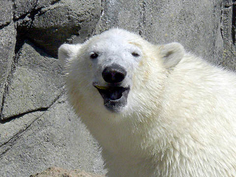 a0151913_22443820.jpg