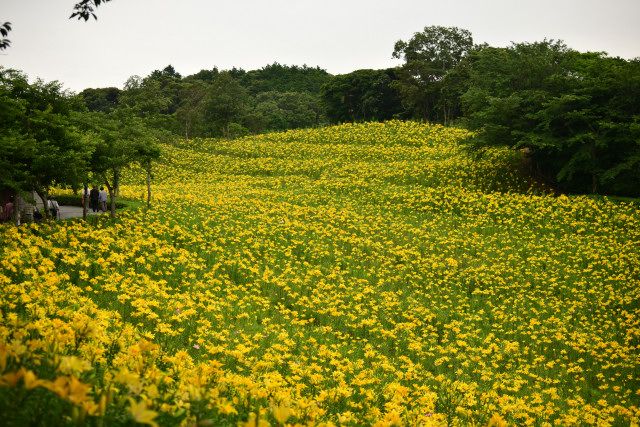 f0046614_22311837.jpg