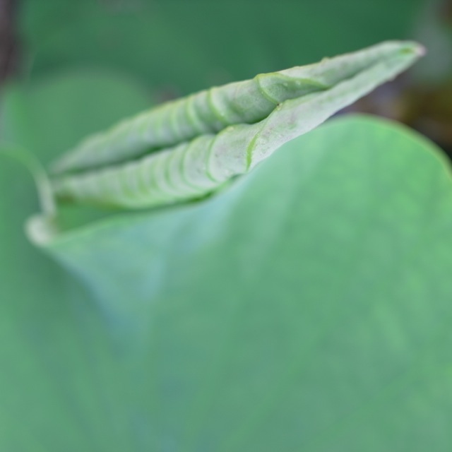 b0041520_2148375.jpg