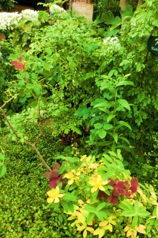 c0204121_153940100.jpg