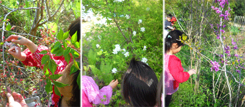 c0146127_11365610.gif