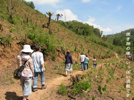 d0042827_1283851.jpg