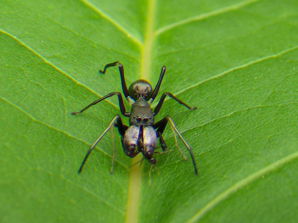 f0118332_18445586.jpg