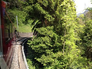 b0033935_1373089.jpg