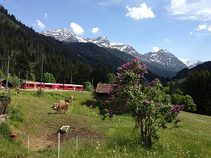 b0033935_1375196.jpg