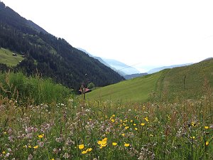 b0033935_1383216.jpg