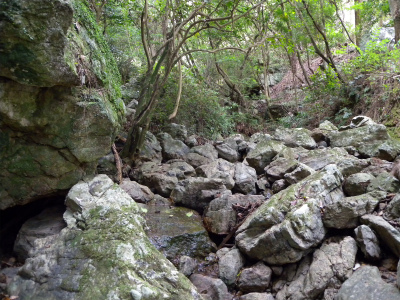 e0272335_19165328.jpg