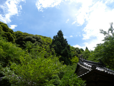 e0272335_19185792.jpg