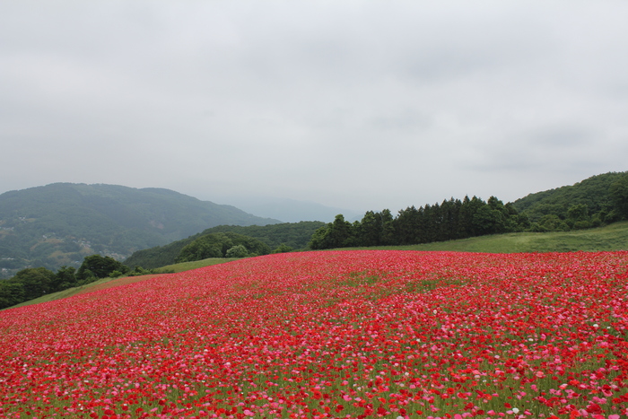 f0248635_2141319.jpg