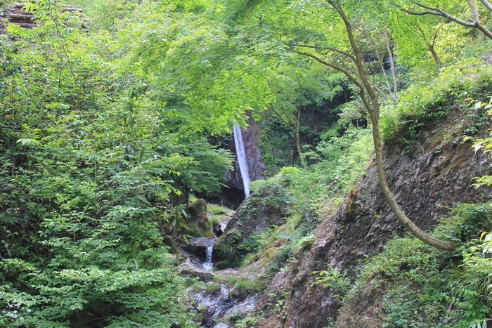 f0248635_2145519.jpg