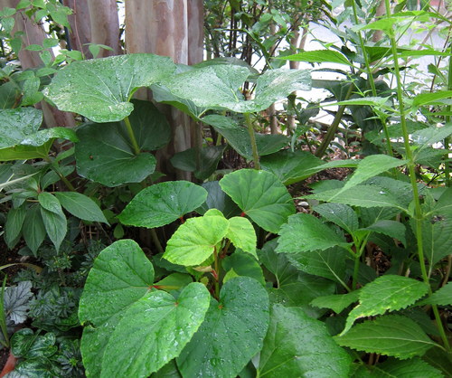 b0178339_19165071.jpg