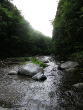 d0194741_1504697.jpg