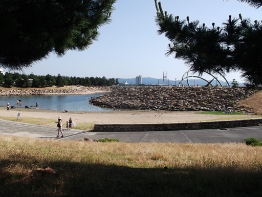 a0237349_759968.jpg