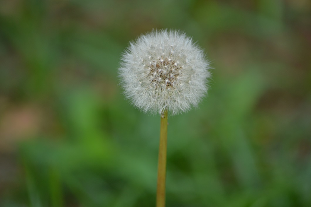 a0055650_20594275.jpg