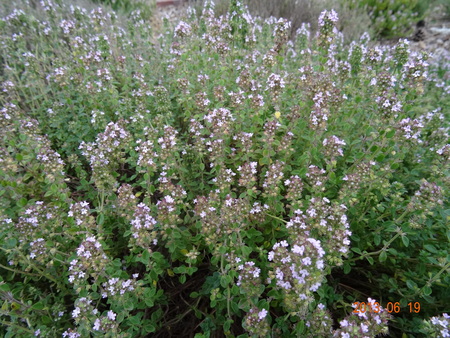 c0108460_2152216.jpg