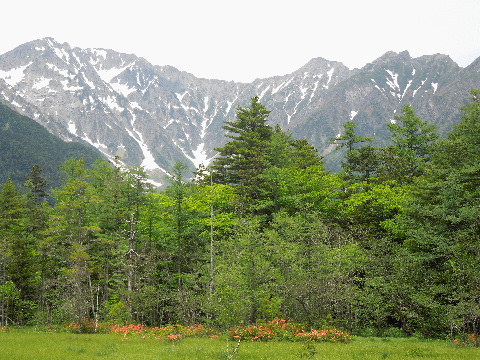 e0088260_17362870.jpg