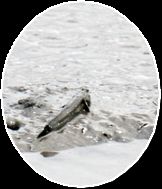 d0102968_15314413.jpg