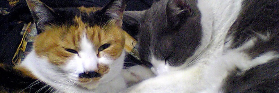 c0170789_23594943.jpg