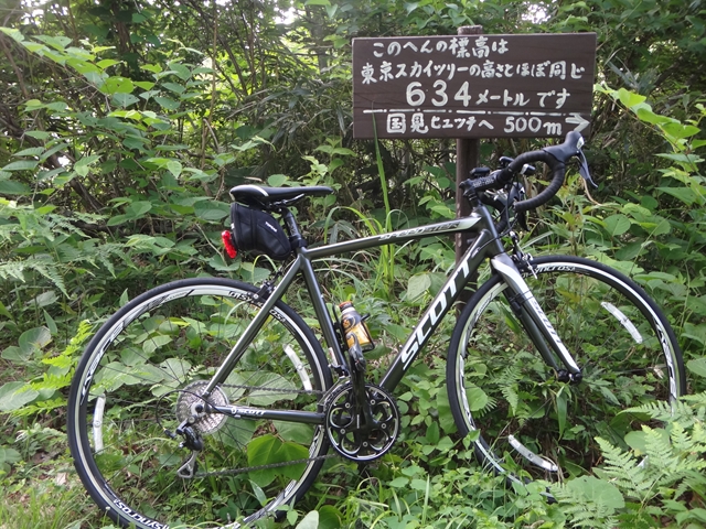 f0125091_22361374.jpg